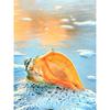 5d Diamond Painting Full Round Conch Scenery Cross Stitch DIY Diamond Embroidery