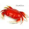 Plastic Lobster Model Simulation Lobster Detailed Craftsmanship