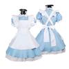 Women Blue Pink Alice Lolita Dress French Maid Costumes Anime Costumes Cosplay Party