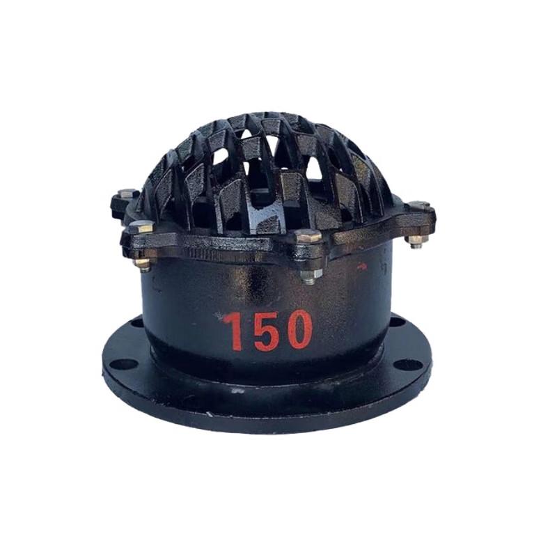 Junsong Cast Iron Water Pump Foot Valve