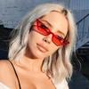 Trendy Women Cat Eye Design Sunglasses With Retro Small Eyeglass And Uv Protection