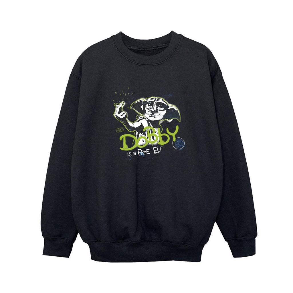 Harry Potter Boys Dobby A Free Elf Sweatshirt