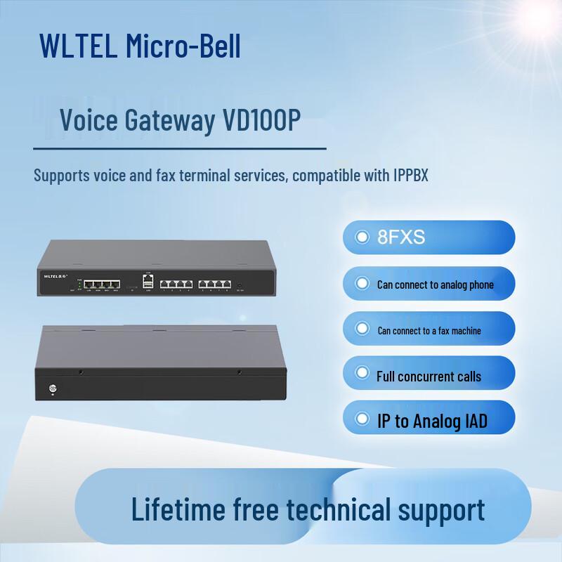 Wei Ling VD100P IP Voice Gateway & Analog Phone Adapter (CN version)