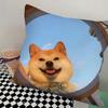 Cheems Shiba Inu Doge Pillow Case Square Pillow Bedroom Sofa Leisure Comfort Cushion Car Living Room Home Decoration