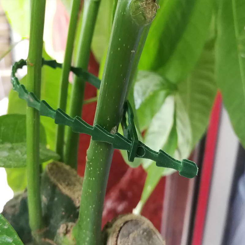 Многоразовые садовые кабельные стяжки для растений, виноградных лоз, деревьев, кустарников, застежка-молния с замком, нейлон, регулируемая, кабельные стяжки, органайзер, инструменты