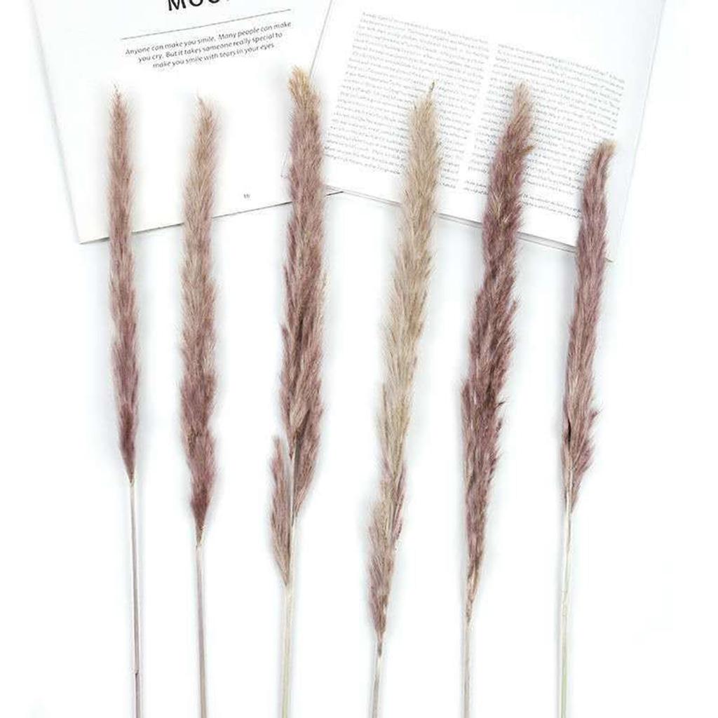 30шт сушеные украшения сушеные цветы вазы букет украшения в стиле бохо ветки