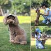 Pet Baseball Caps Cute Dog Sun Hats Puppy Wear-resistant Peaked Cap Summer Outdoor Sun-proof Universal Solid Oxford Caps