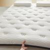 WTEMPO Solid Color Thickened Single/Double Mattress Cushion Soft Home Double-sided Bed Mattress Quilts Warm Winter Single Student Dormitory Mattress