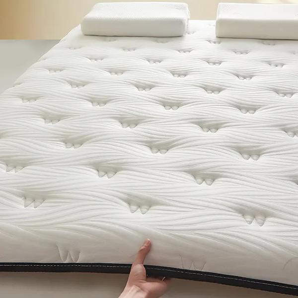 WTEMPO Solid Color Thickened Single/Double Mattress Cushion Soft Home Double-sided Bed Mattress Quilts Warm Winter Single Student Dormitory Mattress