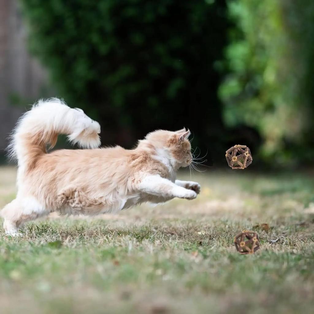 Игрушки с кошачьей мятой Интерактивные игрушки для домашних животных Кошачьи колокольчики Мячи для кошек Спортивная жевательная игрушка-головоломка Мяч с мятой Игрушка для чистки зубов для кошек в помещении