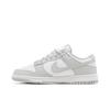 Nike Dunk Low 'Grey ' (Unisex) White / Grey Skate Shoes DD1391 103