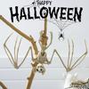 Horror Halloween Bat Skeleton Plastic Animal Skeleton Model  For Halloween Theme Party