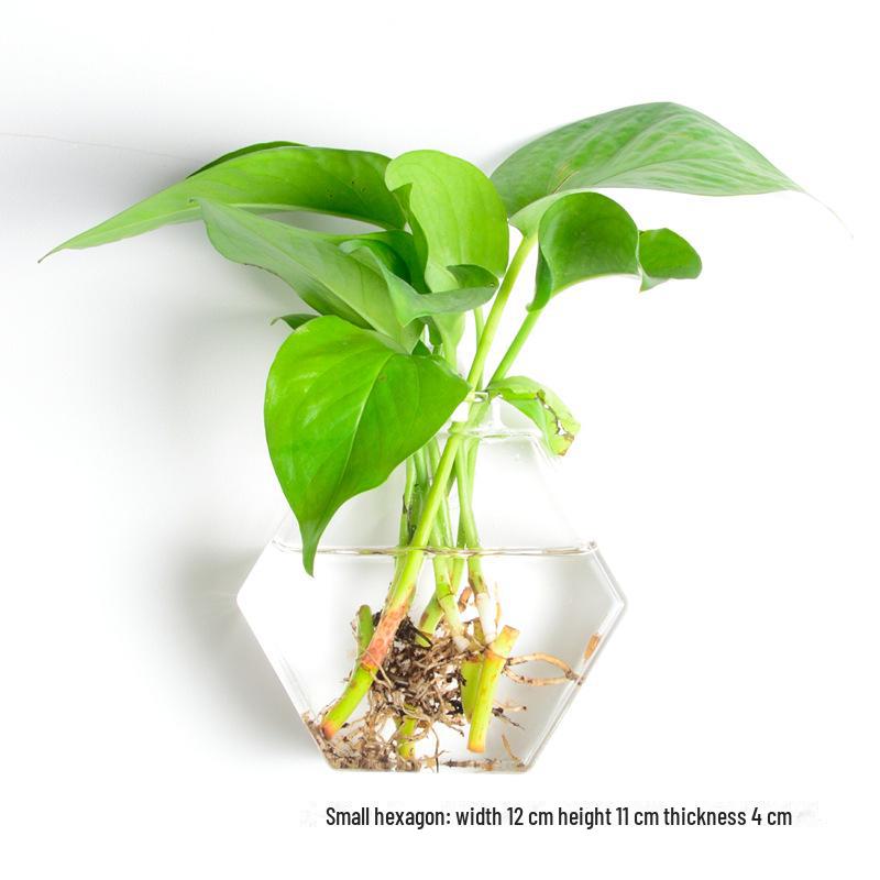 Ваза из выдувного стекла ручной работы для украшения стен и цветочных композиций