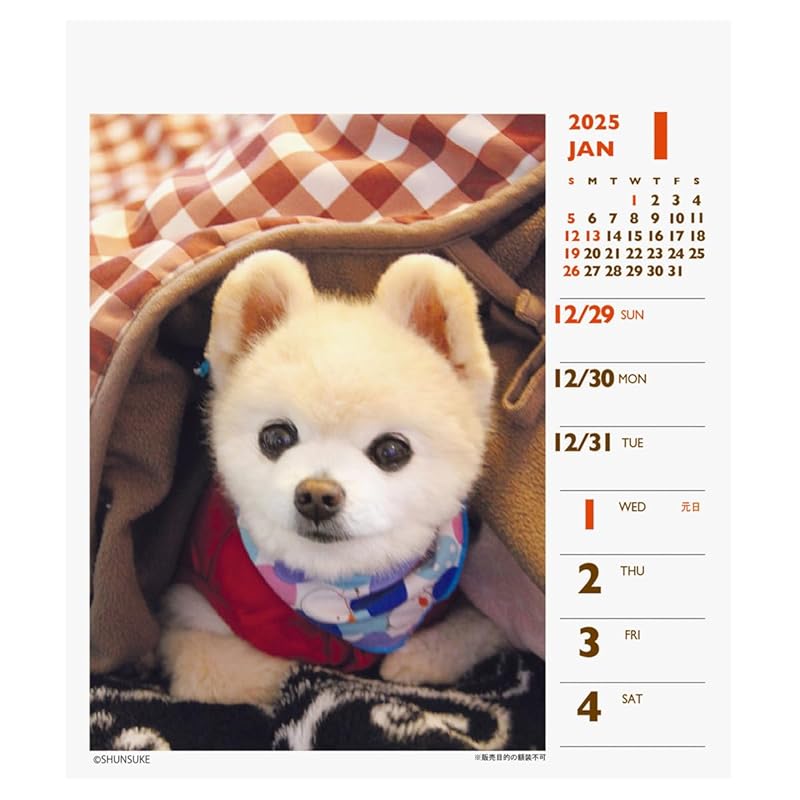 2025 Шунсукэ (еженедельный мини) календарь №044