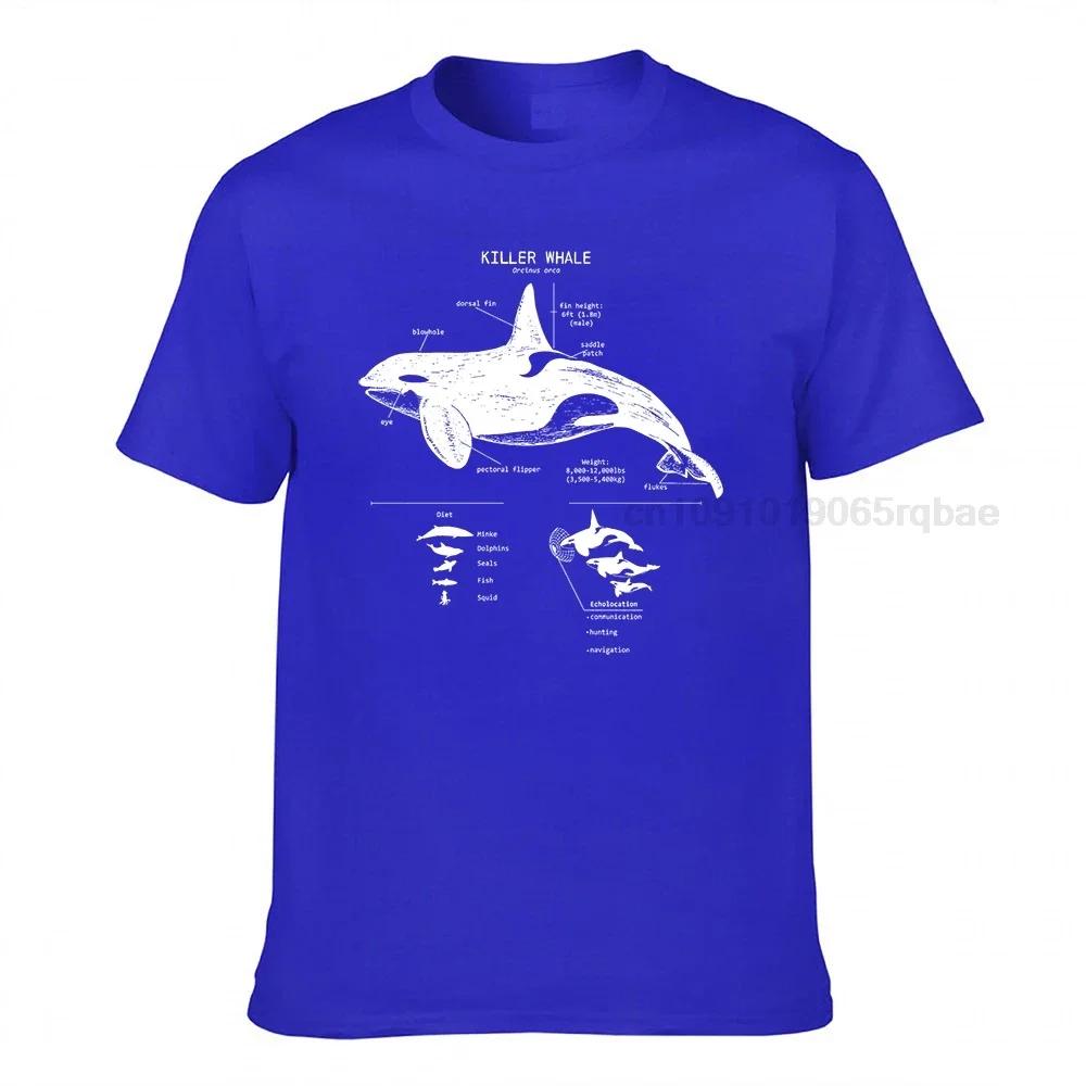 Killer Whale Anatomy Tshirt Orca Whale Shirt Marine Biology Wildlife Tshirt Beach Shirt Marine Biologist Wildlife Tshirt