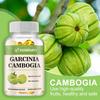 XEMENRY Garcinia Cambogia 1500mg with 95% HCA 120 Vegan Capsules - Weight Management Support, Non-Stimulating