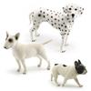 Kids Pvc Dog Figure Set With Realistic Features For Classroom Or Bedroom Decor