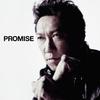 CD ТОМОЯСУ ХОТЕЙ - PROMISE TOCT40325 Virgin 2011 Япония ОбиЯпонский Поп/Рок Б/у