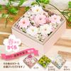 Apron Selection Preserved Flower Box (Sakura) - Perfect for Celebrations, Pink, Made in Japan by a Floral Arranger