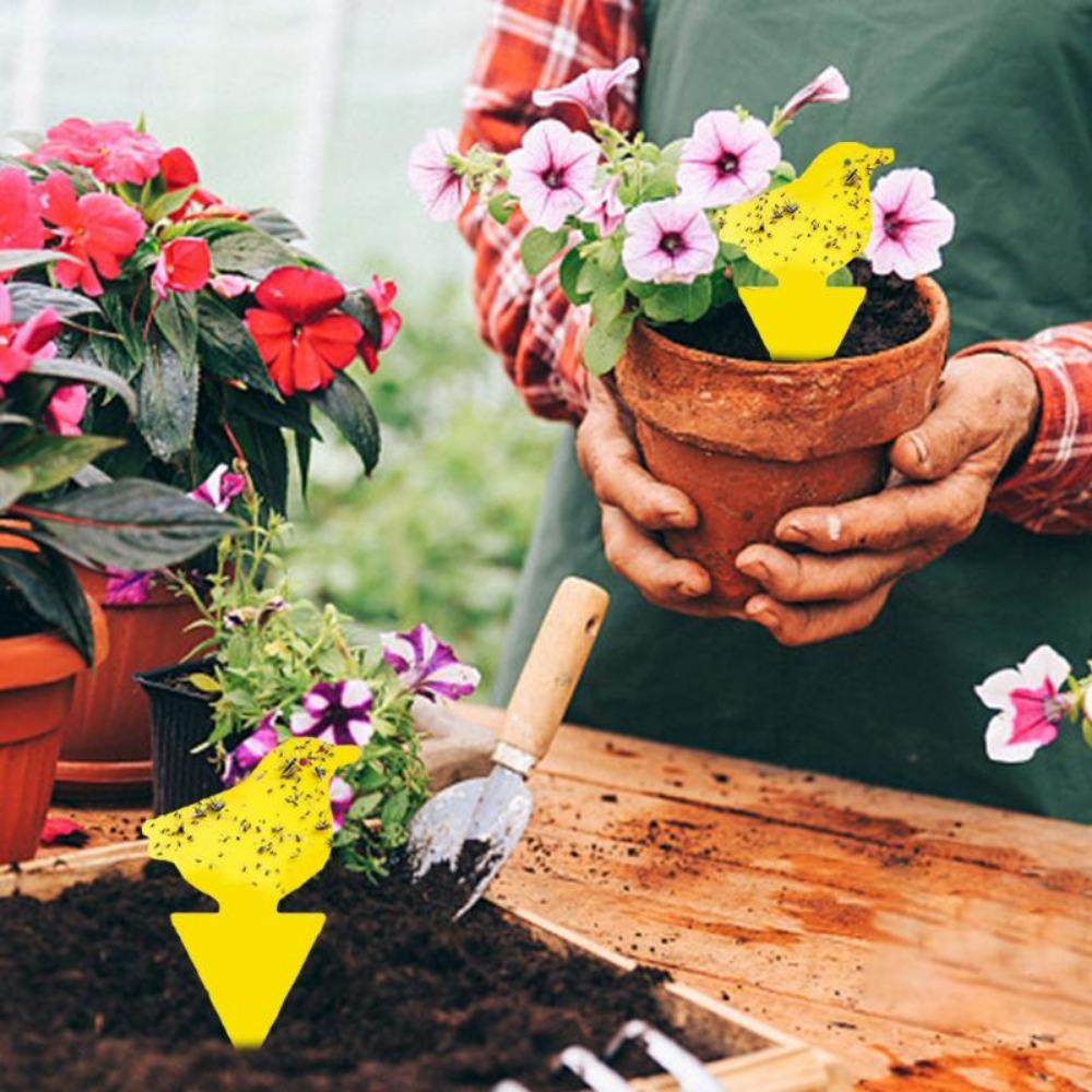 50 шт. ловушек для насекомых защищают растения, двухсторонние ловушки для комаров, нетоксичные и без запаха, липкие ловушки для садовых растений, кухни