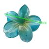Seaside Vacation Hair Clip Back Of The Head With Multi-Color Optional Bauhinia Clip