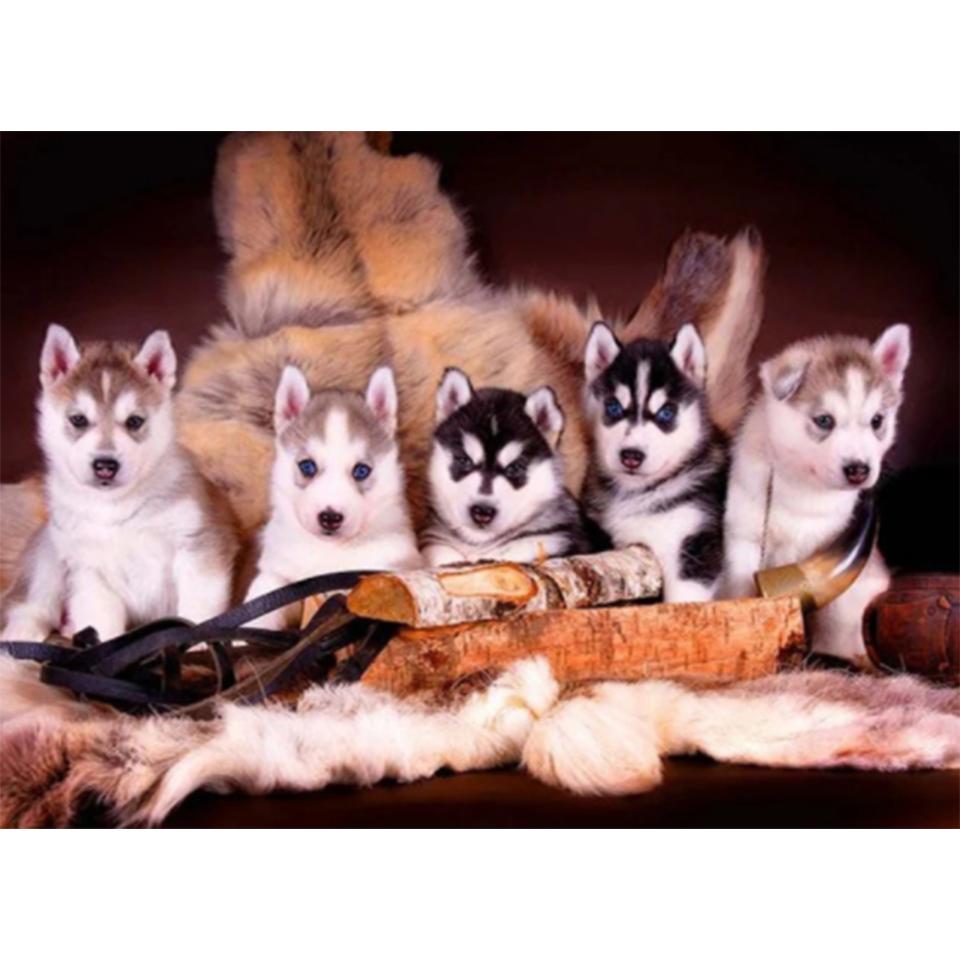 5D DIY алмазная живопись животное кошка собака набор для вышивки крестом полный круглый алмаз вышитая мозаика художественная картина украшение со стразами