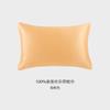 Silk Pillowcase 22 Momme 100% Mulberry Double-Sided Satin Weave Single Double Bed Modern Minimalist