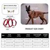 For New Dog Traction Rope Explosion-proof Anti-break Free Polyester Pet Chest Strap F5021 Zhejiang