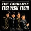 7-дюймовая пластинка GOOD BYE Yes Yes Yes Pepper Mint Paty Tele SV9115 VICTOR 1986 Япония Японский Поп-Рок Б/у