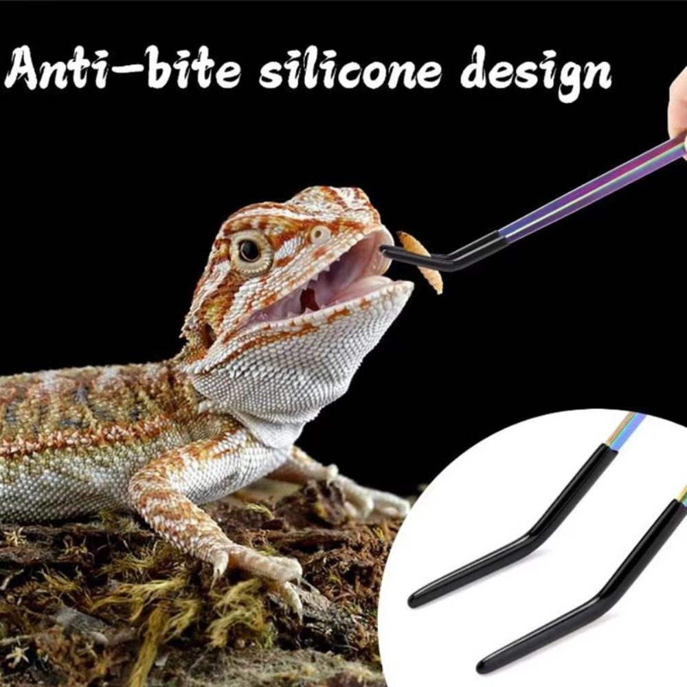 2Pcs Stainless Steel Lizard Feeding Tweezers Non-slip Reptile Feeding Tongs  Gecko Snake Accessories