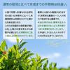 Mizutama Farm tea grown without pesticides chemical fertilizers green bags 2.5g50p (pesticide-free fertilizer-free cold brew pack) (Pack Non-Pesticide
