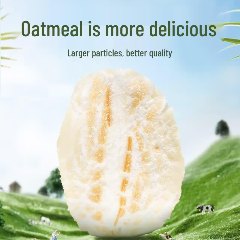 Yinshan Youmai Organic Large Particle Instant Oatmeal