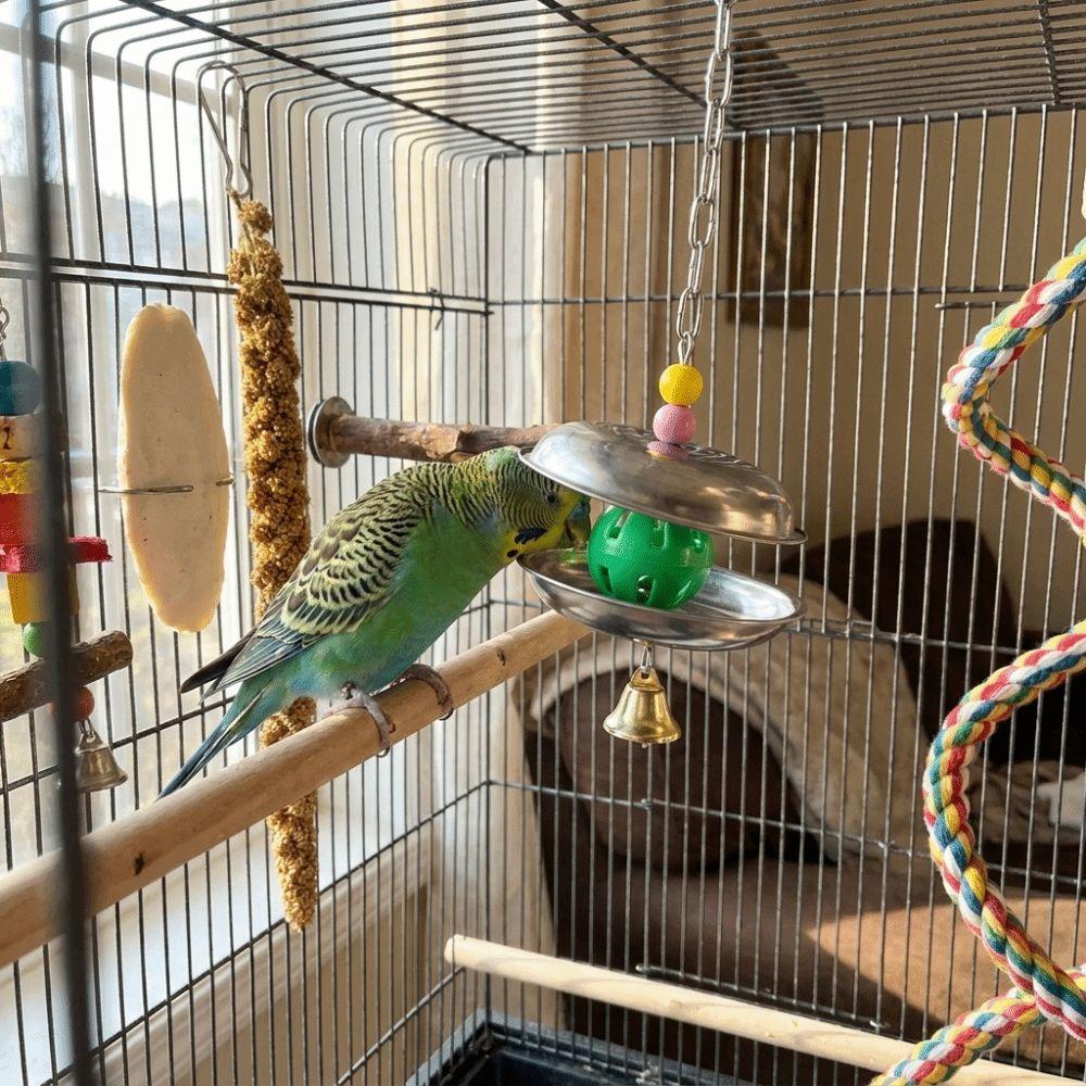 Bite Resistant Parrot Bell Pendant Colored Beads Parrots Chew Swing Bird Cage Toys  Beak Exercise