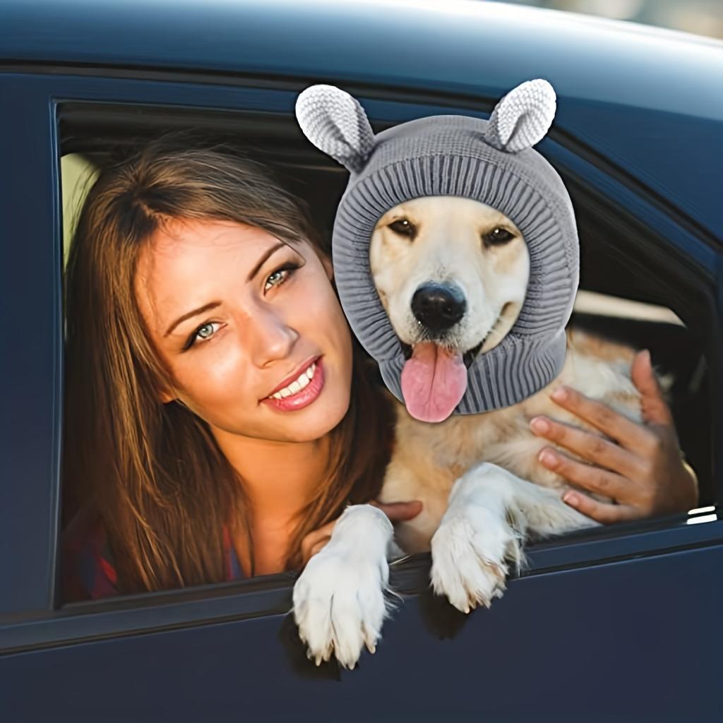 Зима близко! Держите вашего питомца в тепле и уюте с помощью этой очаровательной вязаной шапки