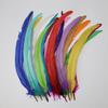 30-35Cm Decolorized Cock Tail Hair Stage Decorative Props Dyi Clothing Accessories Colored Feathers