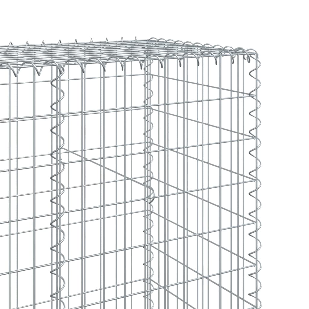 Gabion with Lid 600 x 50 x 200 cm Galvanized Iron