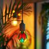 Unique Decor Piece: Hand-painted Bulb Becomes A One-of-a-kind Decorative 2PC