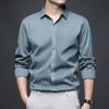 Men's Shirt New Light Luxury High-end Seamless Non-ironing Long-sleeved Youth Fashion Winter Top Velvet