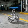 304/316L Stainless Steel Flanged Manual Globe Valve J41W-16P