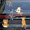 3pcs Car Universal Whole Body Fun Personality Funny Pet Cat Car Stickers Scratches White Cat Car Stickers Home Decoration