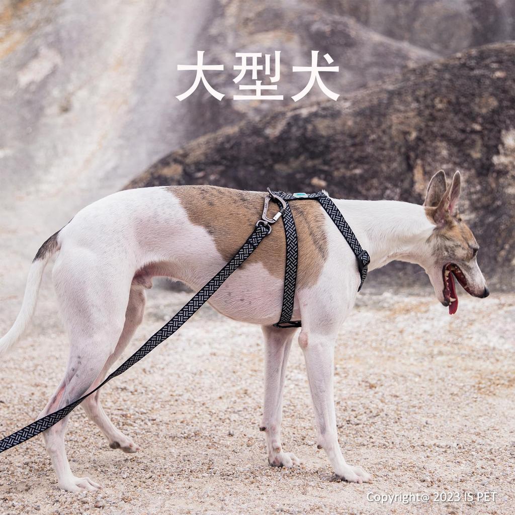 Поводок для собак ISPET для дрессировки, выгула и обучения маленьких, средних и больших собак, длина 1,2 м, нейлон, дышащий, поводок, принадлежности, нескользящий, (черный