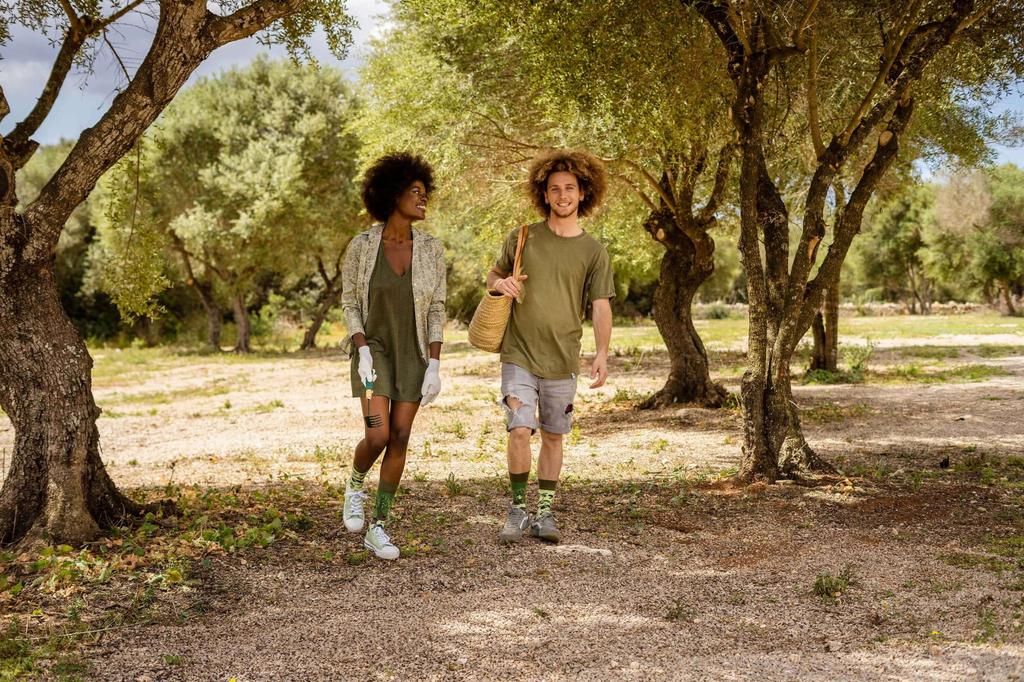 Оливки - разноцветные носки 36-39