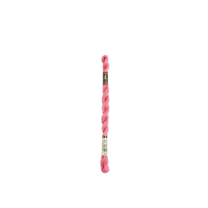 DMC - Fil DMC Coton Perlé Small N8 Col. 899