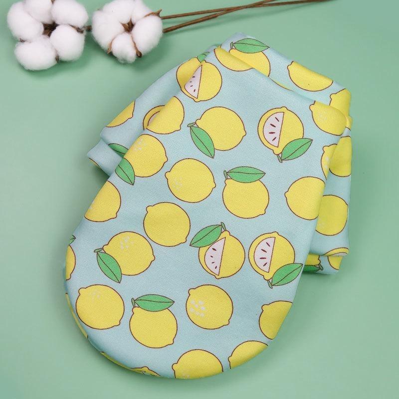 Домашний питомец Французский бульдог Кошка Двуногая одежда Толстовка Одежда для собак и кошек Принадлежности Одежда для собак