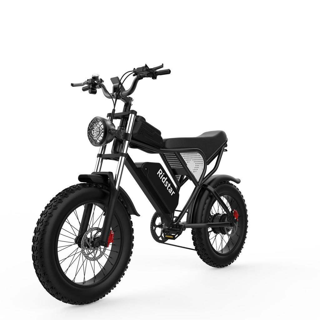 Ridstar Q20 integrated wheel All Terrain Electric Bicycle 1000W Men's E-Mountain ebike 48V17.5Ah Battery 20 Inch Wide Tyre women's Electric Bike