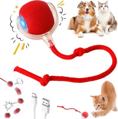Кошки – Игрушки для кошек