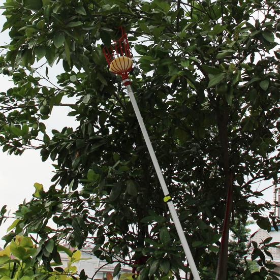 Инструмент для сбора фруктов Хурма Bayberry Gatherer Конструкция губки Съемная конструкция с длинной ручкой Большая емкость