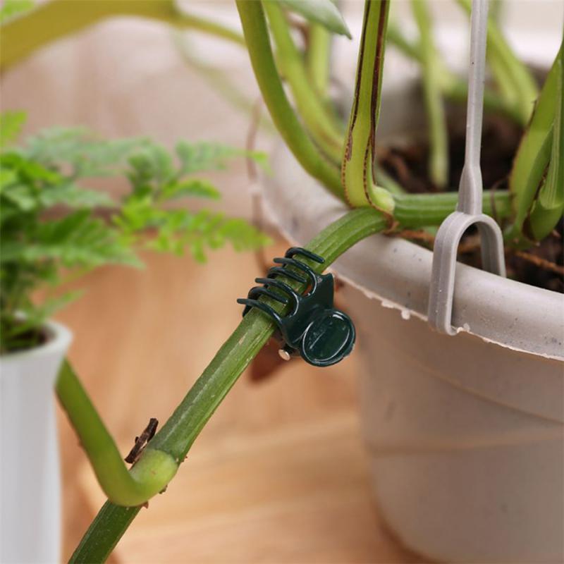 100 шт. зажимов для садовых растений, пластиковая опора для стебля орхидеи, зажим для виноградной лозы, овощей, цветов, связки, зажим для веток, садовый инструмент
