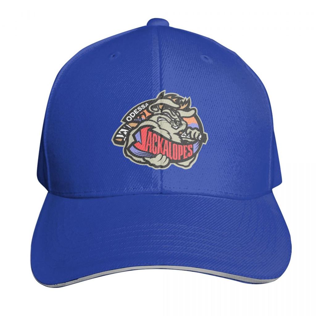 TheJackalopesSport Baseball Cap Sun Cap New In The Hat Wild Ball Hat Sun Hat For Children Golf Wear Unisex Womens