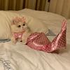 Funny Mermaid Tail Outfit For Pets Stylish Bikini Costume For Dogs Cats Available